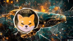 Shiba Inu 249% Onchain Surge: Whales Awakening?